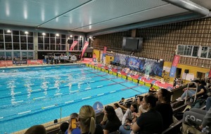 Meeting Lyon Natation