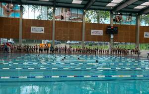 Fête des écoles de natation