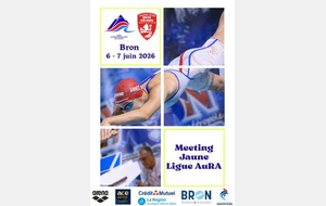Meeting Jaune Ligue AURA Bron